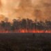 Evropa Perëndimore përvëlohet, thatësira ul prurjet e lumenjve dhe krijon terren për zjarret