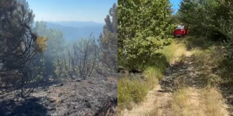 Flakët shuhen në Lëndinën e Madhe të Devollit, 18 forca dhe 2 mjete mbajnë zonën nën kontroll
