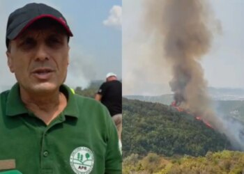 Janë djegur rreth 20 hektarë: Zjarri në 4 fshatra juglindje të Tiranës, shumica pyje, dëme në ullishte, vreshta