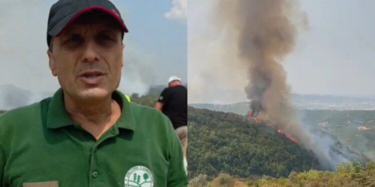 Janë djegur rreth 20 hektarë: Zjarri në 4 fshatra juglindje të Tiranës, shumica pyje, dëme në ullishte, vreshta
