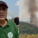 Janë djegur rreth 20 hektarë: Zjarri në 4 fshatra juglindje të Tiranës, shumica pyje, dëme në ullishte, vreshta