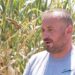 Kostot përgjysmojnë mbjelljet; fermeri ul sipërfaqen nga 180 në 80 ha dhe shkëmben silazhin me lopë