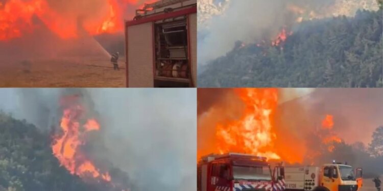 :LIVE/ Situatë apokaliptike rreth Tiranës, zjarret përhapen shpejt në kodra e pyje; Lura digjet prej 48 orësh
