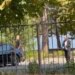 Mbledhja me drejtuesit e qarqeve dhe kryetarët e komisioneve; Rama mbërrin në vilën qeveritare në Pogradec, zbardhen diskutimet