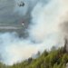Ndezi zjarr për djegien e barit pranë banesës; flakët u përhapën në malin e Krujës, arrestohet autori