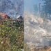 Në Elbasan mbeten aktive dy vatra zjarri, më problematike në Malin e Dardhës