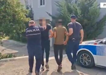 Në Peqin arrestohen dy persona që vodhnin banesa, biznese e automjete