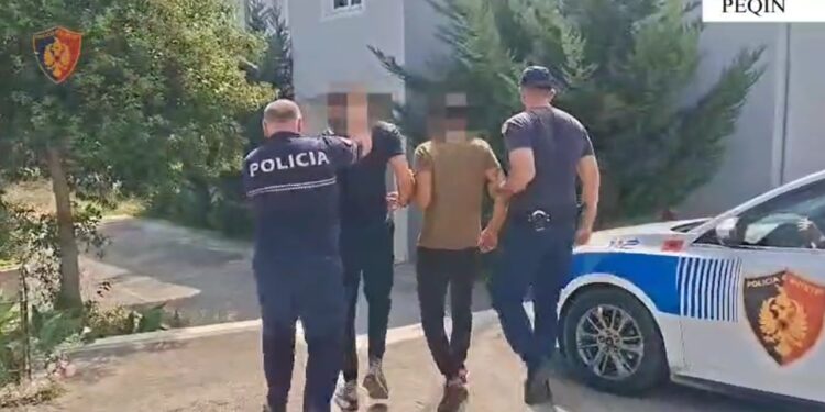 Në Peqin arrestohen dy persona që vodhnin banesa, biznese e automjete