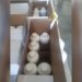 Në Portin e Durrësit kapen 80 litra insekticide, ngarkesa pa dokumentacion përkatës