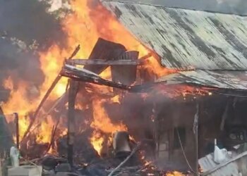 Një magazinë digjet në Bulqizë, rrezikohen edhe dy banesat pranë