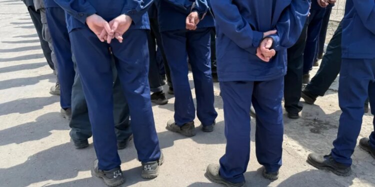 Nuk pendohem, unë e konsideroj veten rus / Ukrainas që luftuan për Rusinë, burgosurit e gjykuar për tradhti