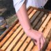 Përgjysmohet prodhimi i mjaltit pas dëmeve nga moti; bletarët në krizë, pritet rritje e ndjeshme e çmimit