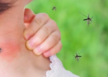 Përhapja e virusit të Nilit Perëndimor vazhdon në Greqi, 157 raste dhe 13 viktima deri më tani