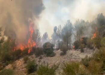 Piromanët i shpëtojnë drejtësisë: Vetëm 18 fajtorë në 211 çështje, shumica mbyllen pa prova