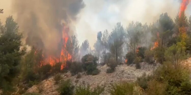 Piromanët i shpëtojnë drejtësisë: Vetëm 18 fajtorë në 211 çështje, shumica mbyllen pa prova