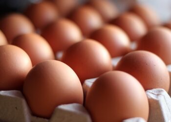 Rast i pazakontë i shpërthimit të salmonelës në Britani: 207 të infektuar, një viktimë