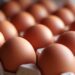 Rast i pazakontë i shpërthimit të salmonelës në Britani: 207 të infektuar, një viktimë