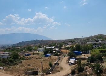 Rreth 60 familje në Gjirokastër ankohen për plehrat dhe insektet