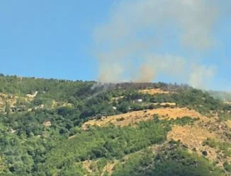 Situata e zjarreve: 11 vatra aktive, Mali i Dajtit dhe Gurë-Lura më problematiket; 5 mjete ajrore, 387 efektivë