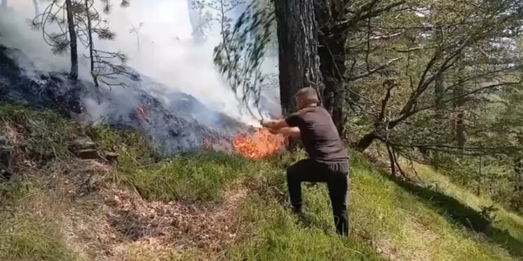 Situata e zjarreve në Shqipëri: 10 vatra sot, 7 ende aktive, zonat më problematike