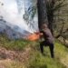 Situata e zjarreve në Shqipëri: 10 vatra sot, 7 ende aktive, zonat më problematike