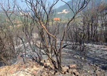 Situata e zjarreve në Shqipëri: Ministria e Mbrojtjes, vatra aktive në Tiranë, Kurbin, Krujë; mbi 200 forca
