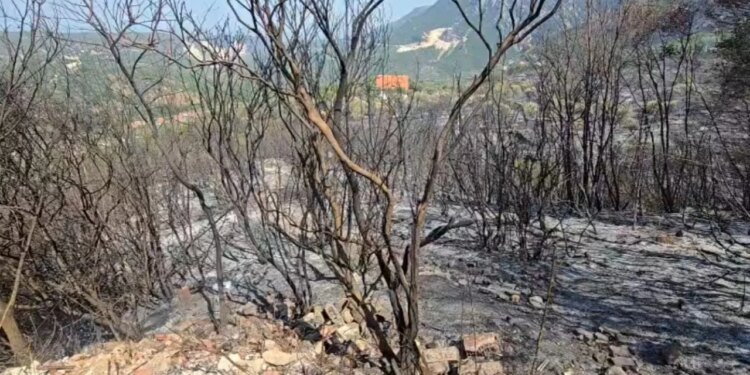 Situata e zjarreve në Shqipëri: Ministria e Mbrojtjes, vatra aktive në Tiranë, Kurbin, Krujë; mbi 200 forca