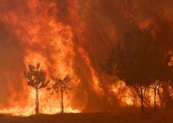 Situata e zjarreve në vend, Ministria e Mbrojtjes: Pesë vatra aktive, ndërhyjnë katër helikopterë e një avion