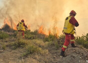 Situata me zjarret: 35 vatra brenda 24 orëve, 5 ende aktive; rreth 382 forca operacionale të angazhuara