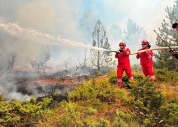 Situata me zjarret në Shqipëri: Ende 23 vatra aktive, zonat më problematike, ndërhyrja nga toka dhe ajri