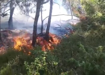 Situatë alarmante në Bulqizë: zjarr përfshin pyjet e Qafë Helmesit, kërkohet ndërhyrje ajrore emergjente