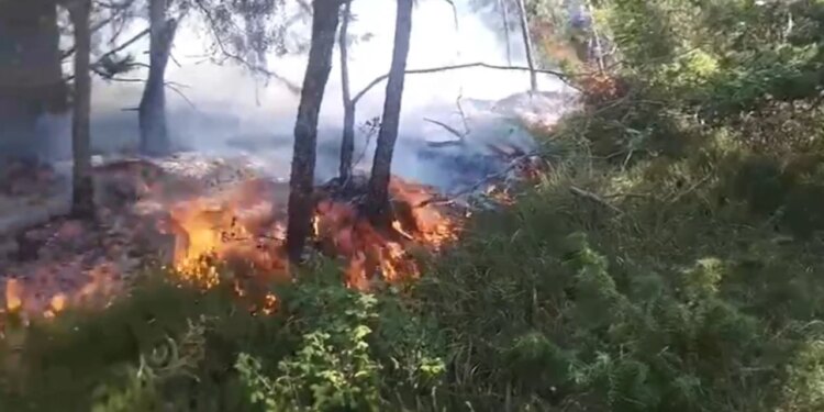 Situatë alarmante në Bulqizë: zjarr përfshin pyjet e Qafë Helmesit, kërkohet ndërhyrje ajrore emergjente