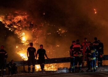 Të dyshuar për zjarrvënie në pyje: Mbi 300 të arrestuar në Greqi këtë vit, 36 me qëllim
