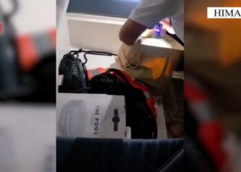 Të shtënat me armë në ajër nga jahti në Palasë; Policia: U ndaluan katër persona