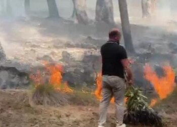 Temperatura deri në 37 gradë, Instituti i Gjeoshkencave: Nesër shumë qarqe rrezikohen nga zjarret