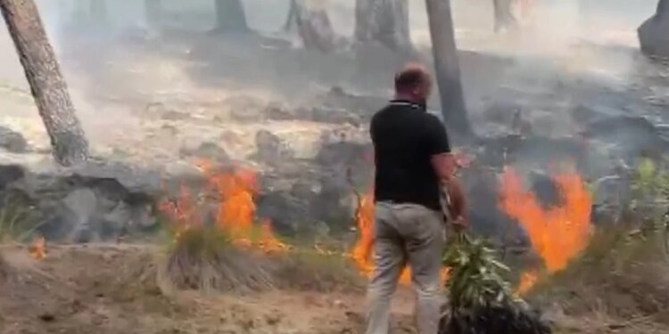 Temperatura deri në 37 gradë, Instituti i Gjeoshkencave: Nesër shumë qarqe rrezikohen nga zjarret