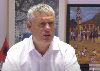 Temperaturat e larta dhe rreziku nga zjarret, prefekti Shkëlqim Hajdari: Kemi marrë masa parandaluese, puna nisi në mars