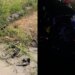 Tragjedia në Manzë: Çifti i ri vdes në aksident fatal, drejtuesi dhe e reja italiane sapo u martuan
