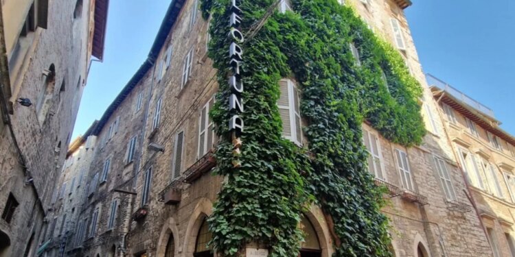 Tragjike: Muzikant 55-vjeçar gjendet vdekur në hotel, kolegu në gjendje të rëndë; dyshohet se u helmuan nga…