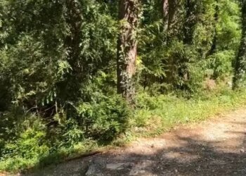 Turistët gjermanë lëshojnë SOS nga Çika; nisin kërkimet tokë e ajër, rasti i 5 në 2 muaj