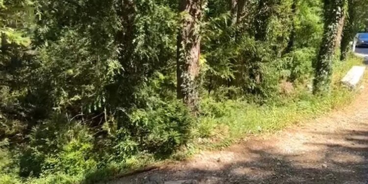 Turistët gjermanë lëshojnë SOS nga Çika; nisin kërkimet tokë e ajër, rasti i 5 në 2 muaj