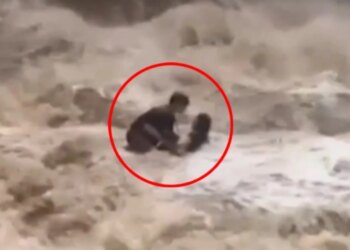 Turistët rrëmbehen nga rrëketë në një ujëvarë në Tajlandë, shpëtohen mrekullisht në minutën e fundit