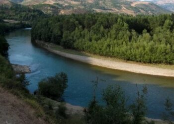 U futën për t’u larë në lumin Drin, rrjedha mori 5 të afërm; 4 shpëtohen, kërkohet vajza 7-vjeçare