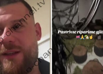 Ua bëjmë xixë, ruajmë konfidencialitetin — Shqiptari në Angli hap kompani për shtëpitë e barit; Heqim ADN, lajmë tapete