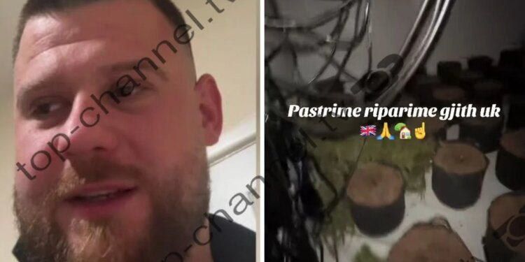Ua bëjmë xixë, ruajmë konfidencialitetin — Shqiptari në Angli hap kompani për shtëpitë e barit; Heqim ADN, lajmë tapete