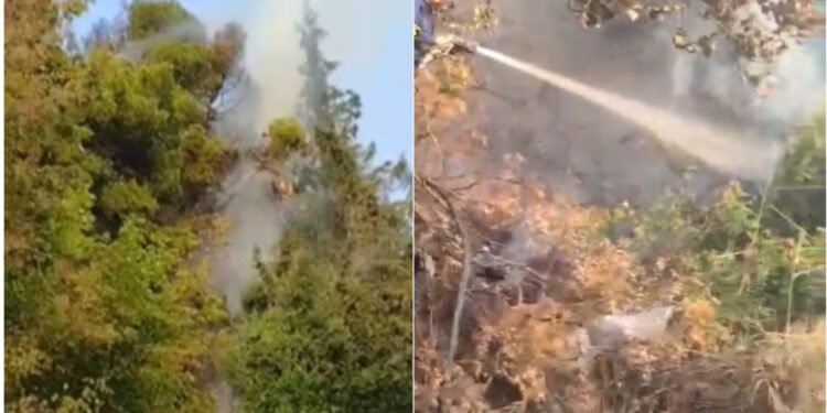 Vatër tjetër zjarri në Vlorë, flakët kapin pishat pranë Ujit të Ftohtë