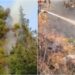 Vatër tjetër zjarri në Vlorë, flakët kapin pishat pranë Ujit të Ftohtë