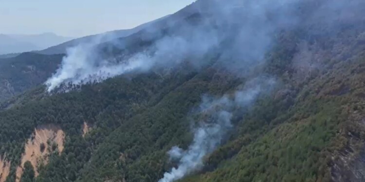 Vatra e zjarrit në Gjegjan, Pukë aktive; më problematike në Gojan i Vogël, flakët pranë zonës së banuar