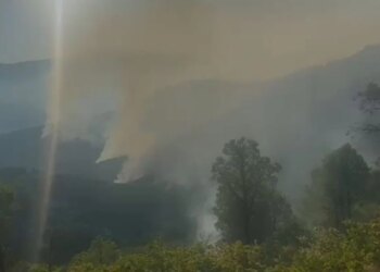 Vatra e zjarrit në Panahor ende aktive, 95 forca speciale në terren dhe ndihmë ajrore