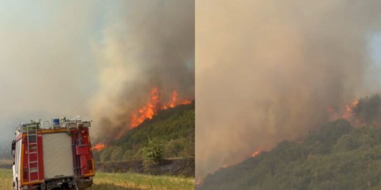 Vazhdon zjarri në Koilacin të Mallakastrës; flakët rrezikojnë banesat, mobilizohen zjarrfikës nga 4 qytete